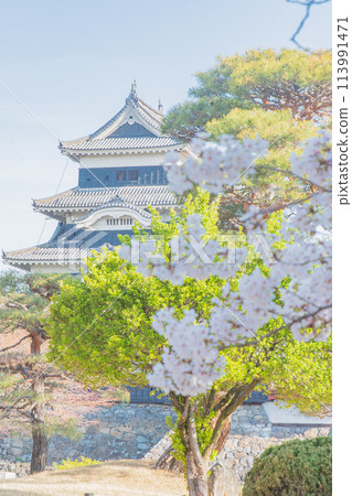 Matsumoto Castle 113991471