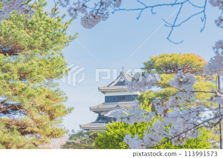 Matsumoto Castle 113991573