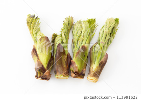 野菜鱈魚芽 野菜鱈魚芽 113991622