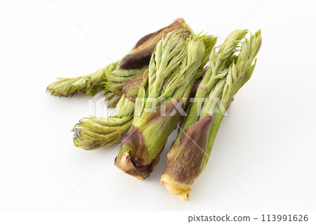 野菜鱈魚芽 113991626