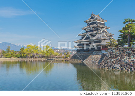 Matsumoto Castle 113991800