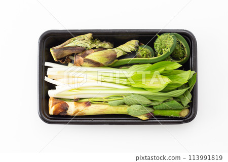 Assorted wild vegetables Assorted wild vegetables 113991819