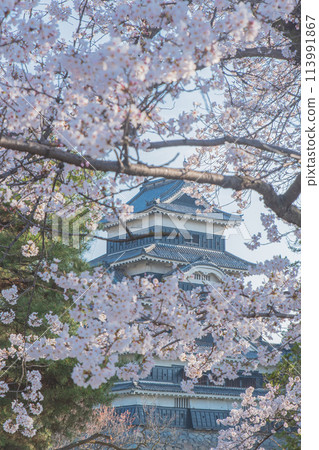 Matsumoto Castle Matsumoto Castle 113991867