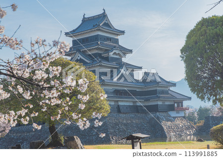 Matsumoto Castle 113991885