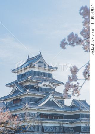 Matsumoto Castle 113991934