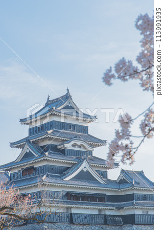 Matsumoto Castle 113991935