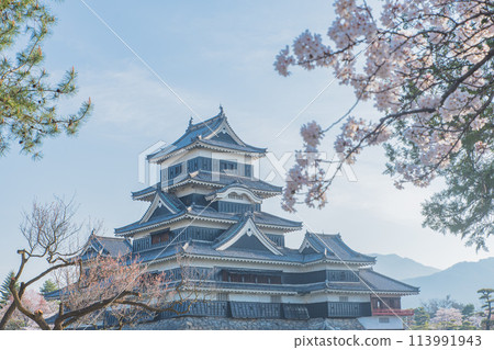 Matsumoto Castle 113991943