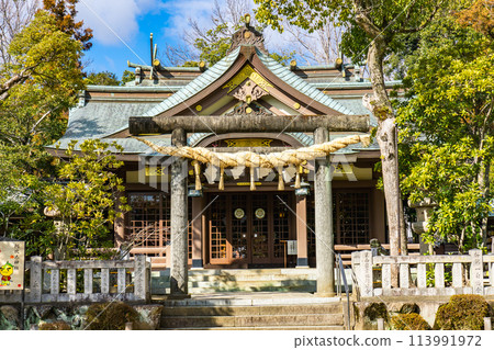 Abitai Shrine (God of Matchmaking) in Sakuragaoka, Minoh City, Osaka Prefecture (Minoh is a yuzu producing area) 113991972