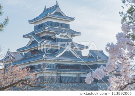 Matsumoto Castle 113992005