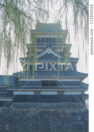 Matsumoto Castle 113992026