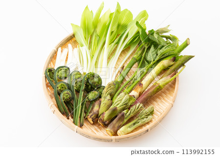 各種野菜的拼盤 各種野菜的拼盤 113992155