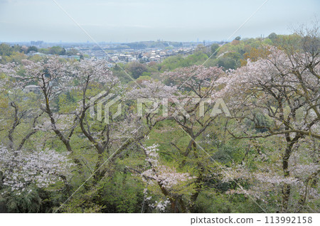 從增形山看到的春天的景色 113992158
