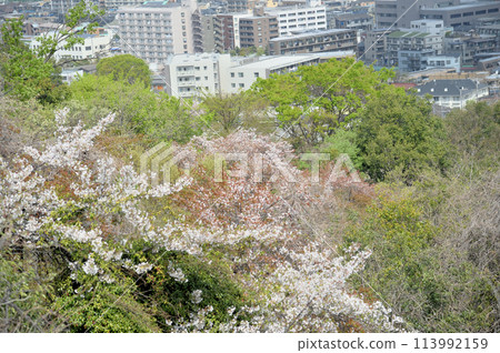 從增形山看到的春天的景色 從增形山看到的春天的景色 113992159
