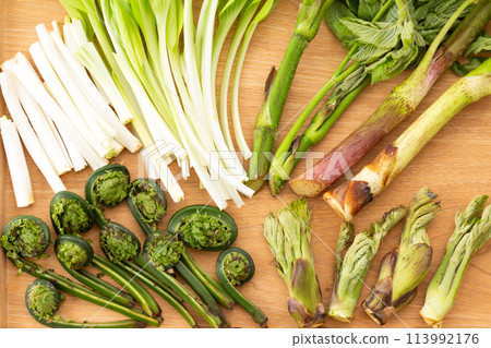 Assortment of various wild vegetables 113992176