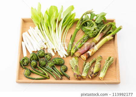 各種野菜的拼盤 113992177