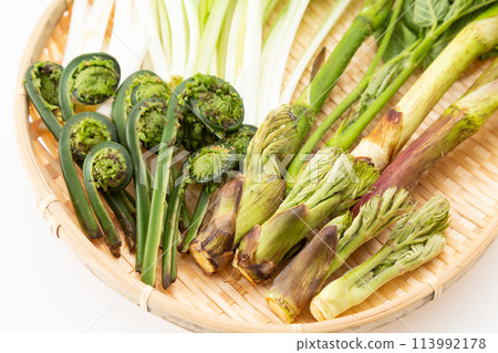 各種野菜的拼盤 各種野菜的拼盤 113992178