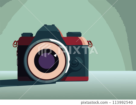 相機 113992540