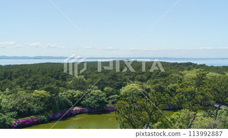[千葉縣富津市] 富津岬｜從千葉縣立富津公園的中之島展望塔眺望富津岬尖端 113992887