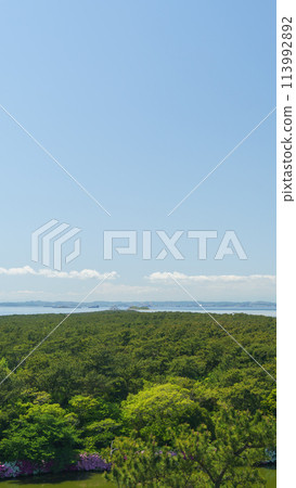 [千葉縣富津市] 富津岬｜從千葉縣立富津公園的中之島展望塔眺望富津岬尖端 113992892