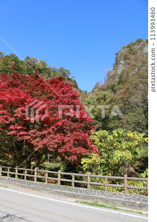 石鎚連峰的紅葉 113993460