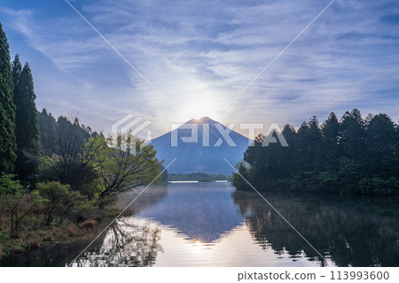 (Shizuoka Prefecture) Lake Tanuki Diamond Fuji (Shizuoka Prefecture) Lake Tanuki Diamond Fuji 113993600