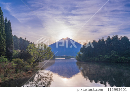 (靜岡縣)狸湖鑽石富士 (靜岡縣)狸湖鑽石富士 113993601