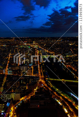 View of Paris, France from the Eiffel Tower View of Paris, France from the Eiffel Tower 113993673