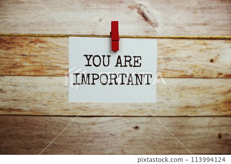 You are important text on paper card hanging on the wall with Clothespins You are important text on paper card hanging on the wall with Clothespins 113994124