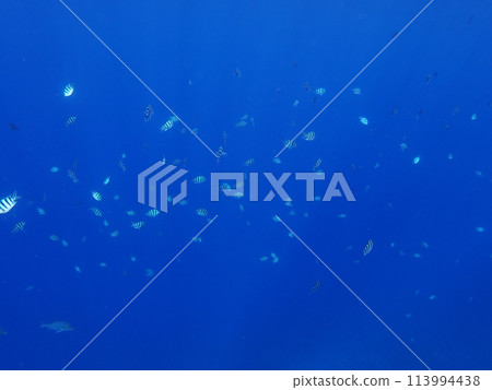 Beautiful sea at Cape Maeda, Okinawa 113994438