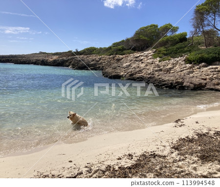Menorca, summer holidays 113994548