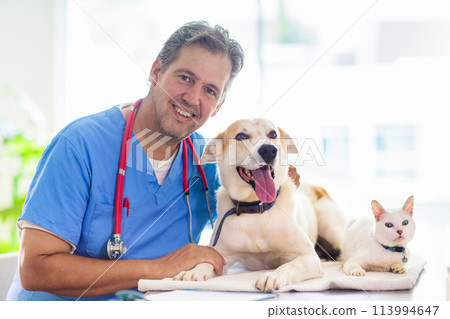 Vet with dog and cat. Puppy and kitten at doctor. Vet with dog and cat. Puppy and kitten at doctor. 113994647