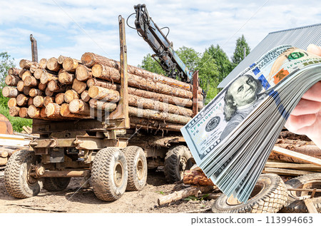 Timber carrier with large sawn logs at the wood storage place 113994663