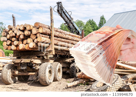 Timber carrier with large sawn logs at the wood storage place 113994670