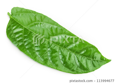 leaf of passion-fruit or maracuja isolated on white background. Top view. Flat lay 113994677