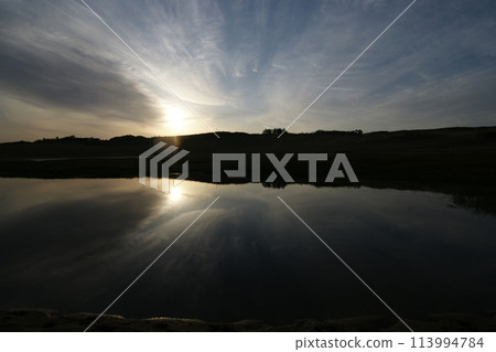 鳥取四個季節走春沙丘 鳥取四個季節走春沙丘 113994784