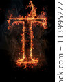 Fire letter T made of burning letters on black background 113995222
