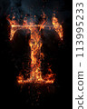 Fire letter S made of burning letters on black background 113995233