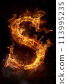 Fire letter S made of burning letters on black background 113995235