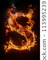 Fire letter S made of burning letters on black background 113995239
