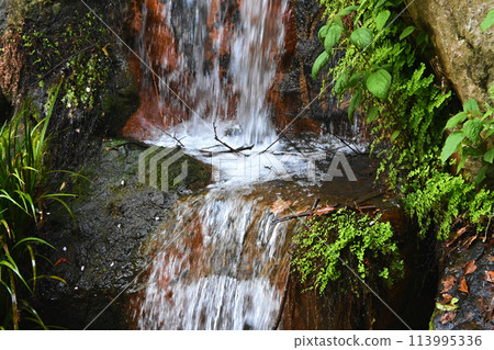 小瀑布流 小瀑布流 113995336