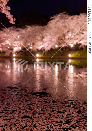 Colorfully lit cherry blossoms in Hirosaki at night Colorfully lit cherry blossoms in Hirosaki at night 113995344