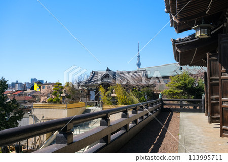 View of the temple grounds and streetscape from the main hall of Tomyo-ji Temple in Edogawa Ward, Tokyo View of the temple grounds and streetscape from the main hall of Tomyo-ji Temple in Edogawa Ward, Tokyo 113995711