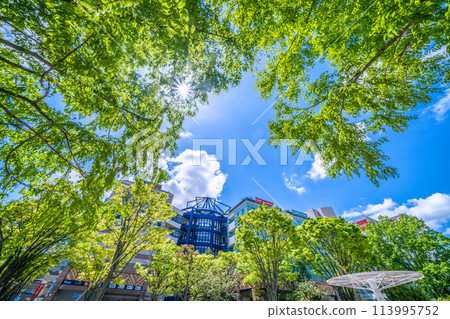 Yokohama cityscape in Japan - Subway lined with fresh greenery - Center Minami Station and other areas seen on April 25th 113995752