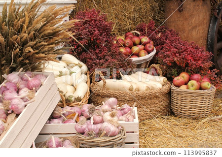 Fresh organic vegetables on farmer market. Local farm bazaar. Assortment of fresh organic harvest garden produce. Bio products, bio ecology. Natural healthy food festival. Agricultural rustic fair 113995837