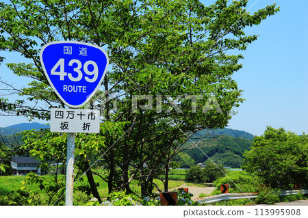 Early summer scenery along the national highway Early summer scenery along the national highway 113995908