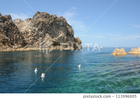 藍色海灣中漂浮著海鳥和奇形怪狀的岩石 藍色海灣中漂浮著海鳥和奇形怪狀的岩石 113996005