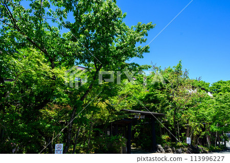 A hot spring town in the middle of nature, illuminated by a clear spring sky. "Aso Uchinomaki Onsen Yumeoisou" in Uchinomaki, Aso City A hot spring town in the middle of nature, illuminated by a clear spring sky. "Aso Uchinomaki Onsen Yumeoisou" in Uchinomaki, Aso City 113996227