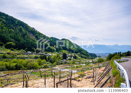 Rural scenery and Matsumoto cityscape seen from Yamabe Rural scenery and Matsumoto cityscape seen from Yamabe 113996403