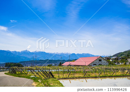 從山腰看酒莊和北阿爾卑斯山 113996426