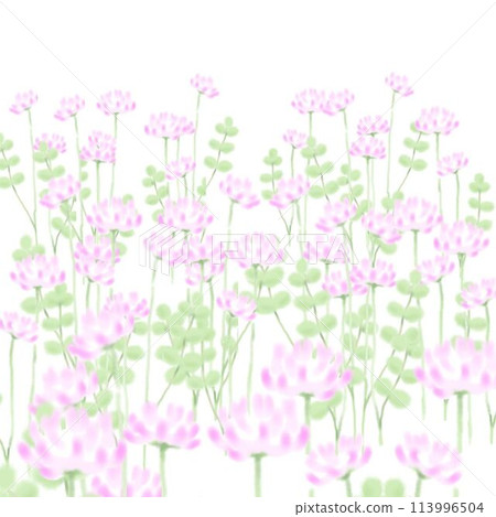 Lenge field Lenge field 113996504
